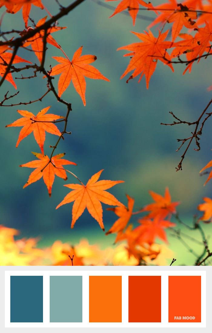 Shades Of Orange Burnt Orange And Teal Autumn Color Palette Fab