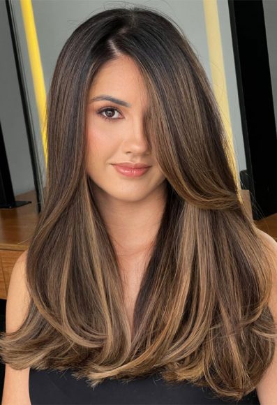 Enchanting Hair Colour Trends To Illuminate Brown Hair With