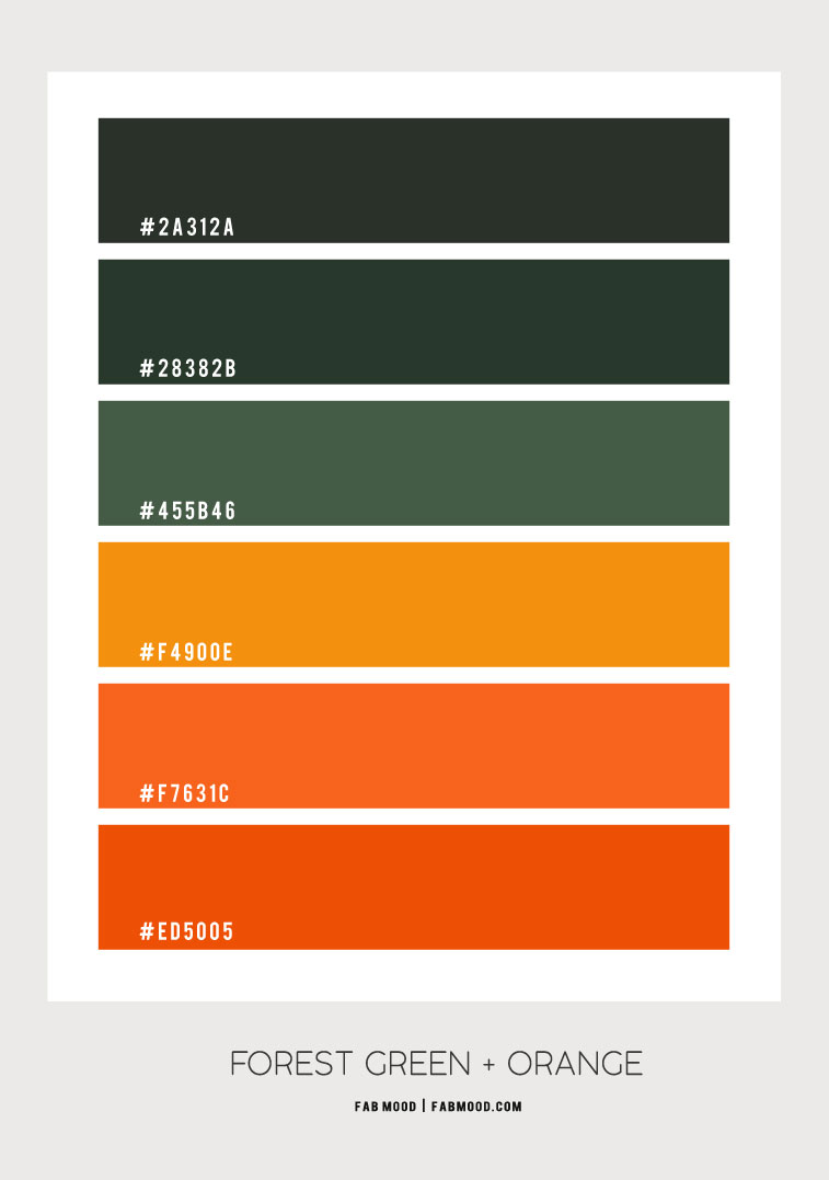 forest green and burnt orange color scheme – color palette #77