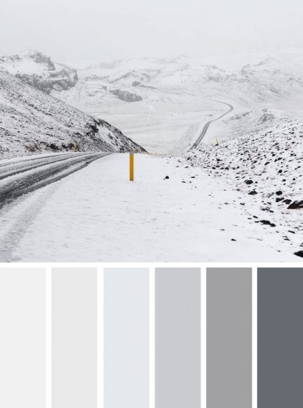 Grey and white winter color scheme ,winter color palette