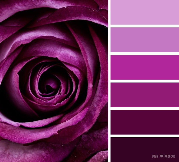 Dark Plum Shades Color Palette