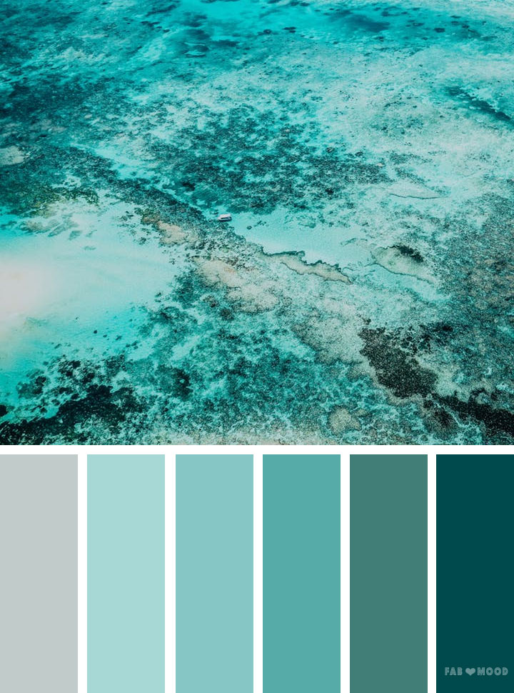Shades of green ocean inspired color palette,wedding color inspiration