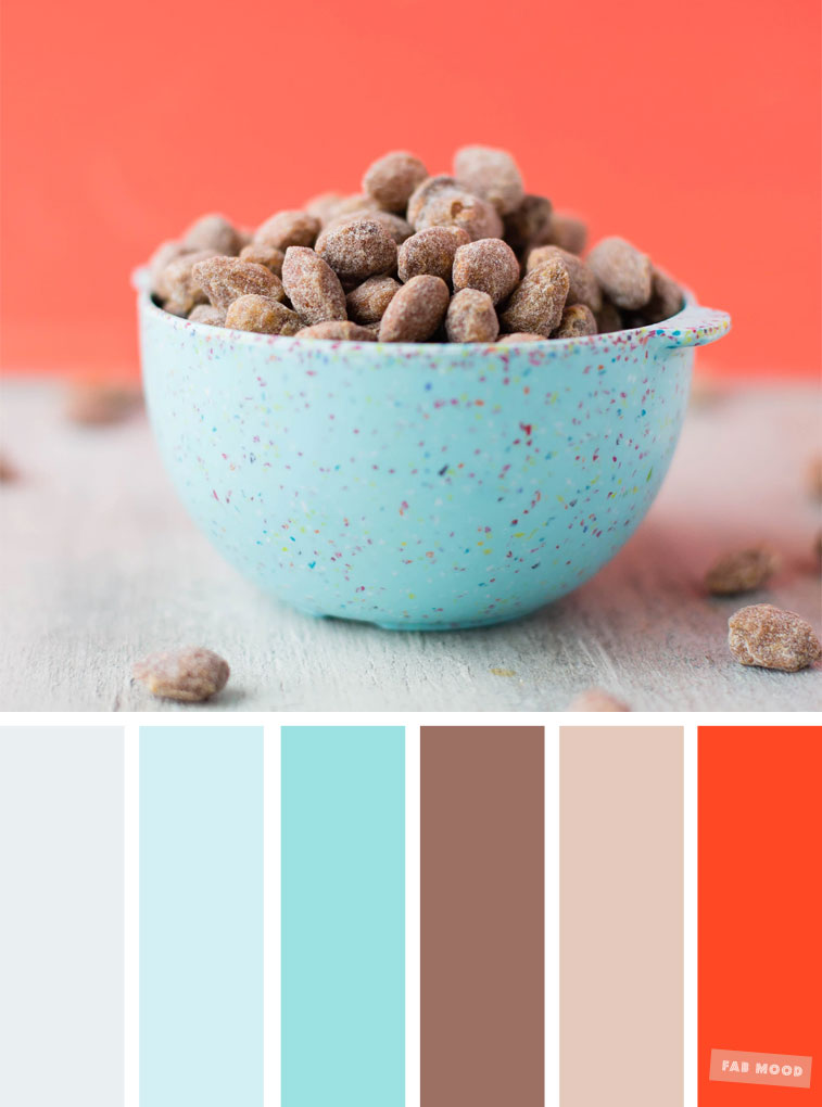 Color Inspiration : Cocoa + light blue + turquoise & Coral