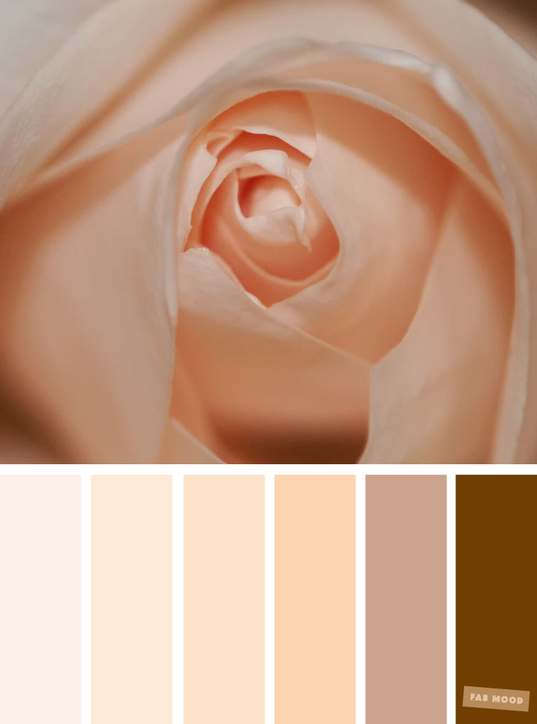 Neutral Brown Color Palette