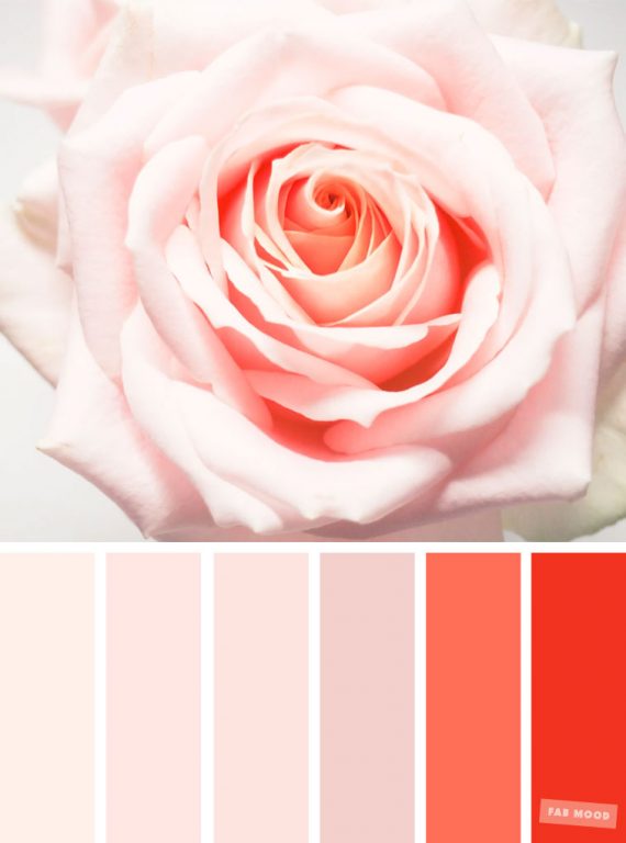 Blush Tones : Pretty Blush Color Scheme - Fabmood | Wedding Colors ...