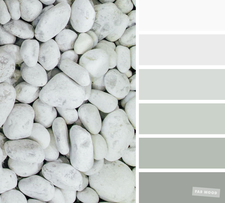 Color Inspiration : Grey and sage color palette