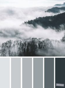 Smokey Grey Color Palette - Shades Of Grey Color Combination