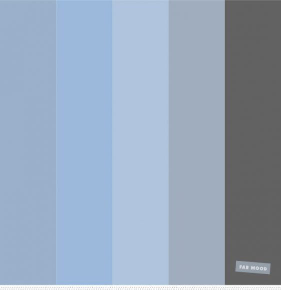 Color Inspiration : Shades of Blue and grey color palette