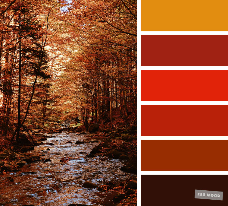Everything about the color Burnt Orange