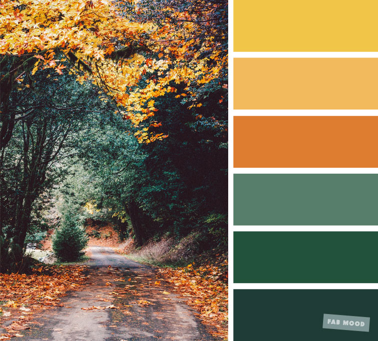 Green, Orange and Yellow Colour Combination