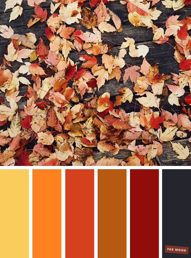 59 Pretty Autumn Color Schemes { Shades Of Autumn Leaves }