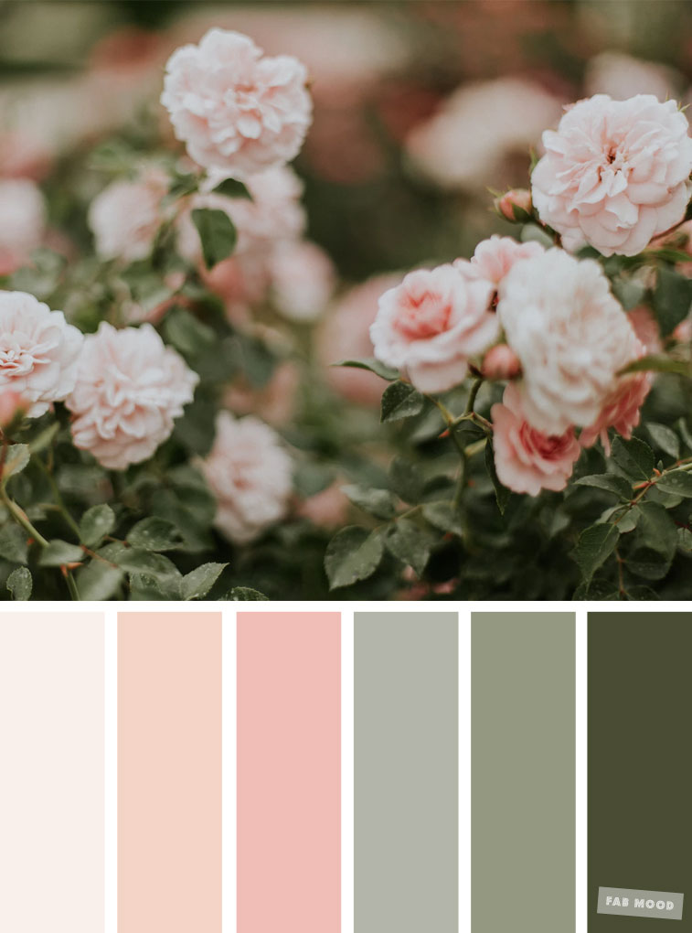 Pretty Spring Color Schemes { Blush + Sage }