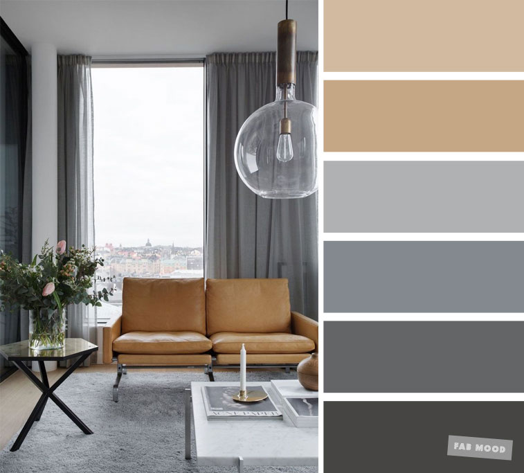 Interior Living Room Gray Color Schemes