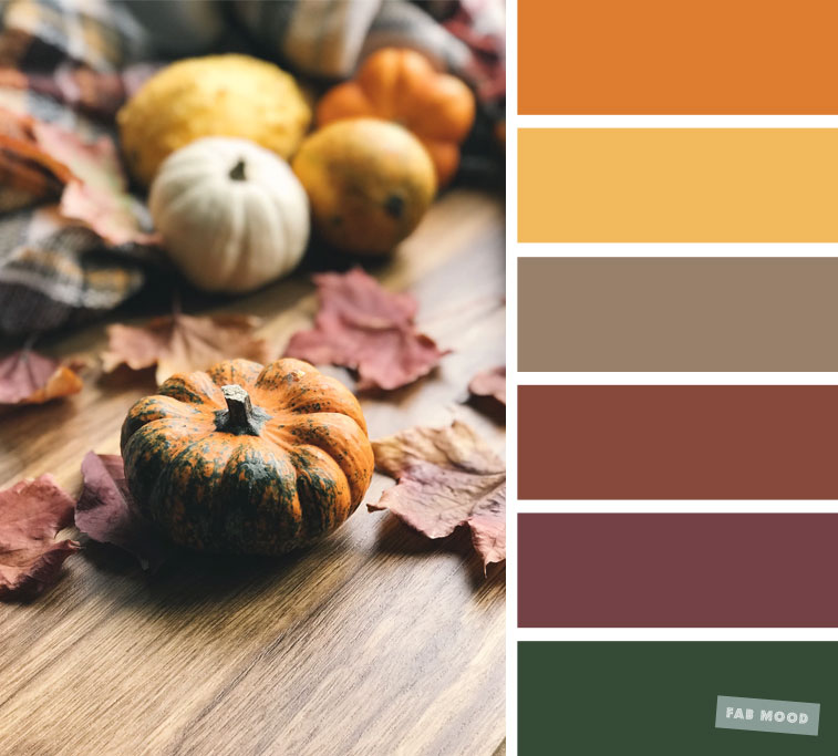 59 Pretty Autumn Color Schemes – pumpkin inspired color scheme