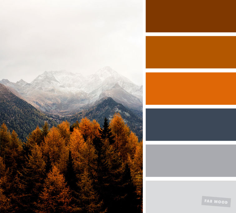 59 Pretty Autumn Color Schemes { Smokey + burnt orange color palette }