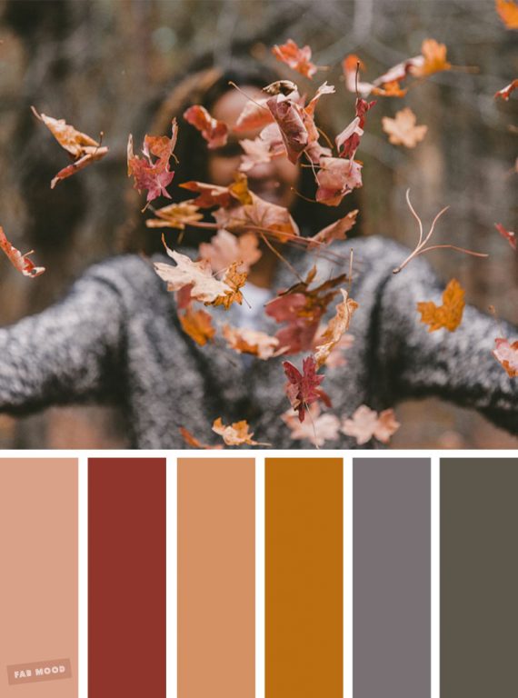 find a color palette from image