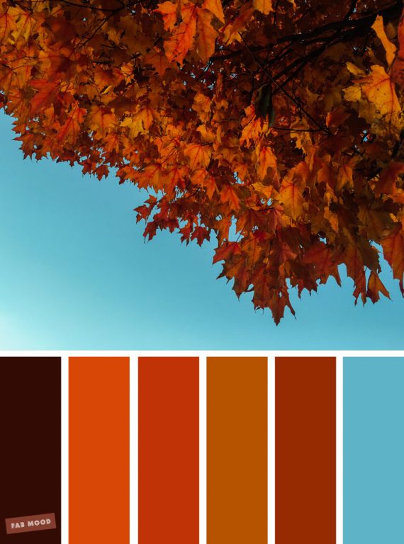 59 Pretty Autumn Color Schemes { Bold autumn colour and blue sky }