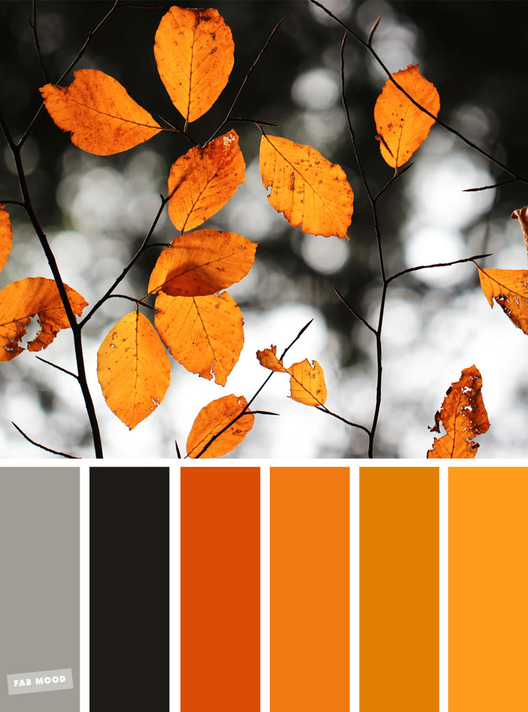 burnt orange color swatch