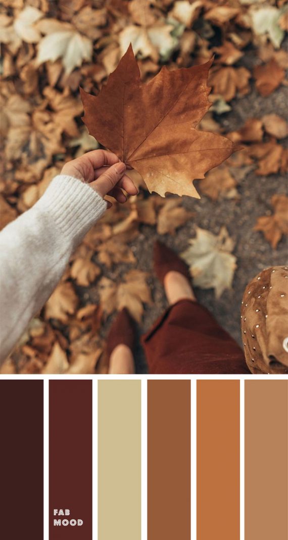 Brown autumn leaf color { Autumn Color Inspiration }