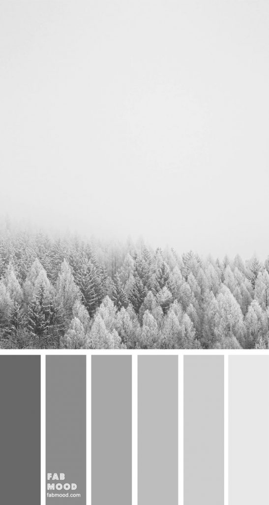 Shades of grey color palette