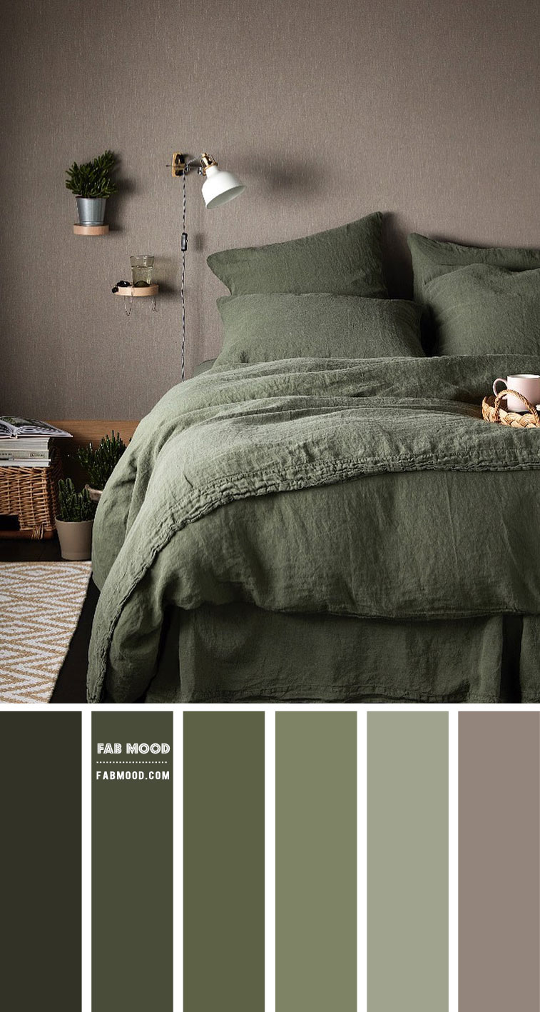 What is the color of Olive Brown?