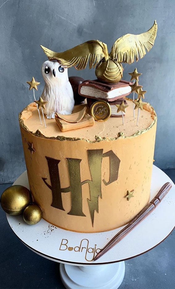 Harry Potter Cake Design Ideas : Hedwig & The invitation Letter