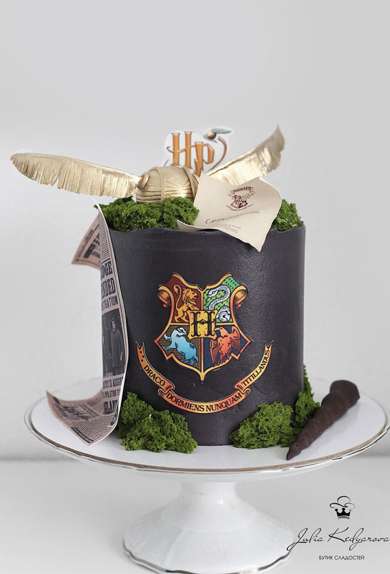 25 Cute Birthday Cake Ideas : Black Harry Potter Cake with Golden Snitch