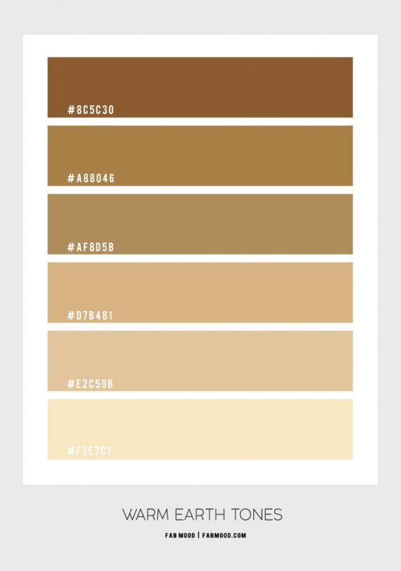 Beige Warm Earth Tone Colour Scheme 