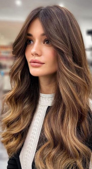 40 Pretty Hair Styles with Highlights and Lowlights : Brunette with ...