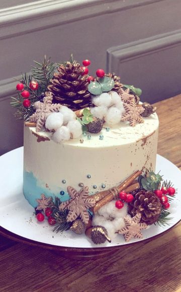 25 Winter Cakes For Your Holiday Festive : Two Tone Winter Cake Topped ...