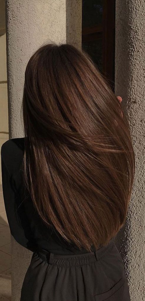 50 Stylish Brown Hair Colors And Styles For 2022 Smooth Rich Chocolate Brown Hair 