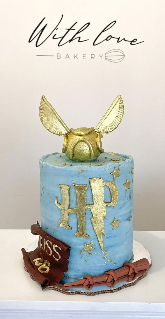33 Best Harry Potter Cakes in 2022 : Blue Harry Potter Cake