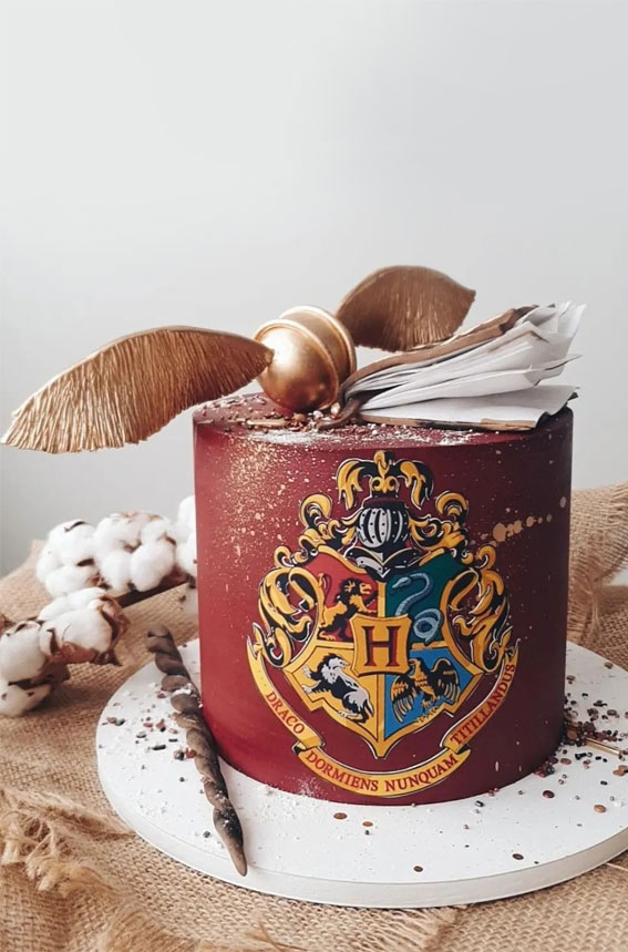 70 Cake Ideas for Birthday & Any Celebration : Classic Harry Potter Cake