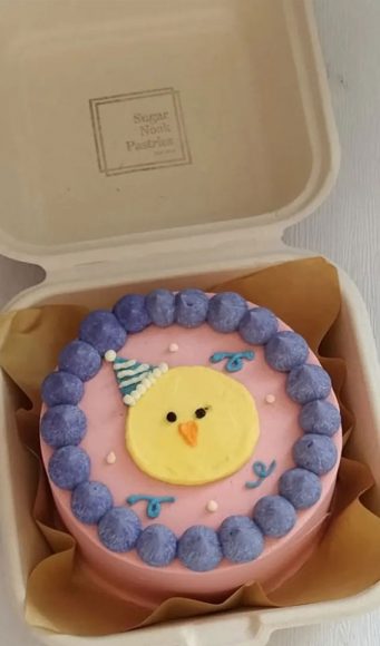 40+ Cute Simple Birthday Cake Ideas : Duckling Cake