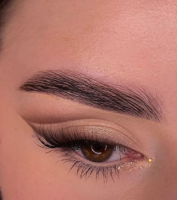 50+Makeup Looks To Make You Shine in 2023 : Soft Smokey Brown Sharp Liner