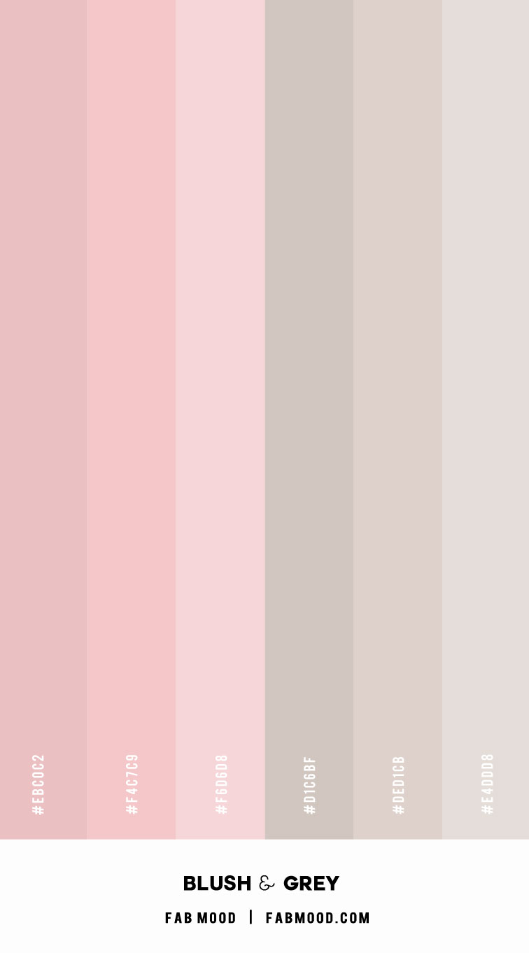 Very Light Pink Color Palette