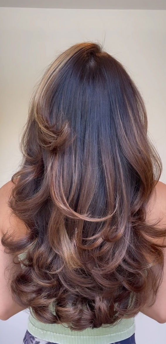 Cute Wearable Butterfly Hairstyles : Balayage Highlights + Bouncy Layers