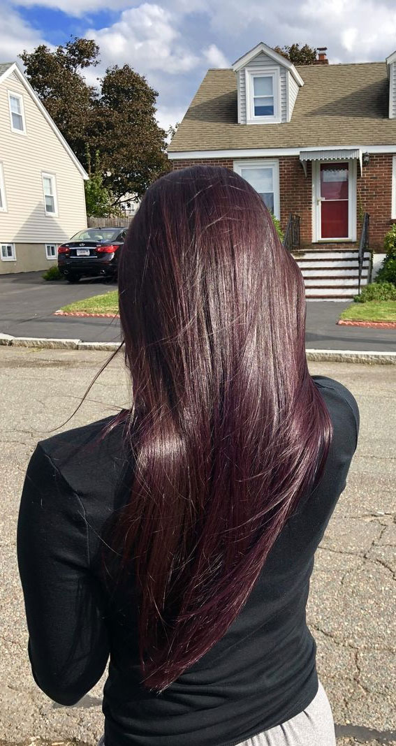 50 Cozy Fall Hair Colour Ideas for a Stylish Season : Dark Plum with Red Undertones