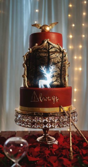 52 Enchanting Harry Potter Cake Ideas For Wizards And Witches : Harry ...