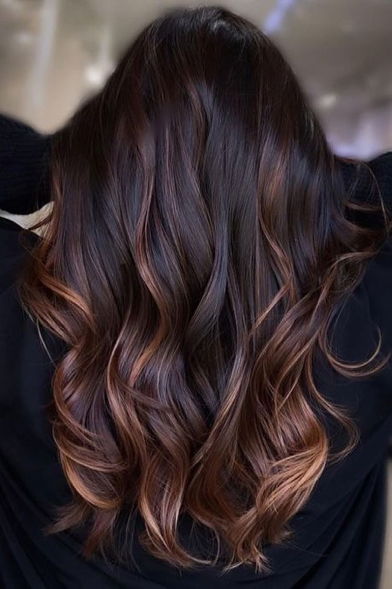 Enchanting Hair Colour Trends To Illuminate 2024 : Black Hair with Caramel Brown Highlights