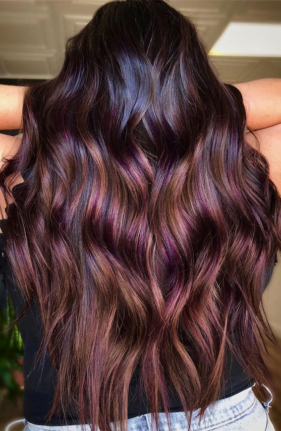 Enchanting Hair Colour Trends To Illuminate 2024 : Shades of Grape Hair Colour