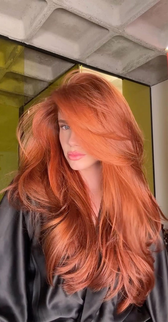 Enchanting Hair Colour Trends To Illuminate 2024 : Fiery Copper Hair Colour