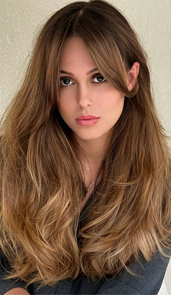 35 Honey Blonde Highlights Ideas : Golden Radiance Brown Hair