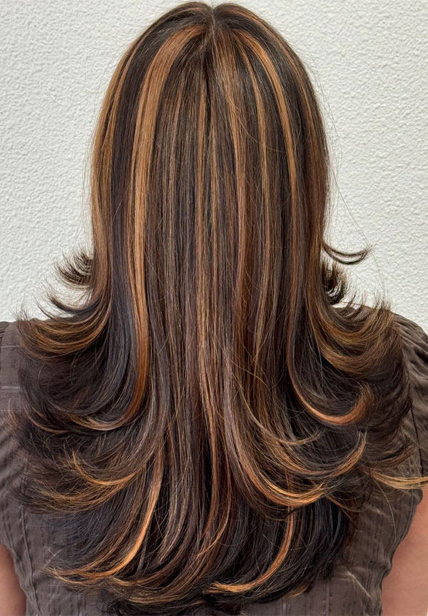 Dark Brown Layers with Honey Highlights, trendsetting Short Layer Cuts on Long Hair, Short Layer Haircuts on Long Hair, layered haircut, short layered haircut on long hair