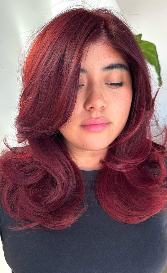 30 Deep, Warm, and Vibrant Hair Colours for Autumn : Deep Mulberry Medium-Length Layers