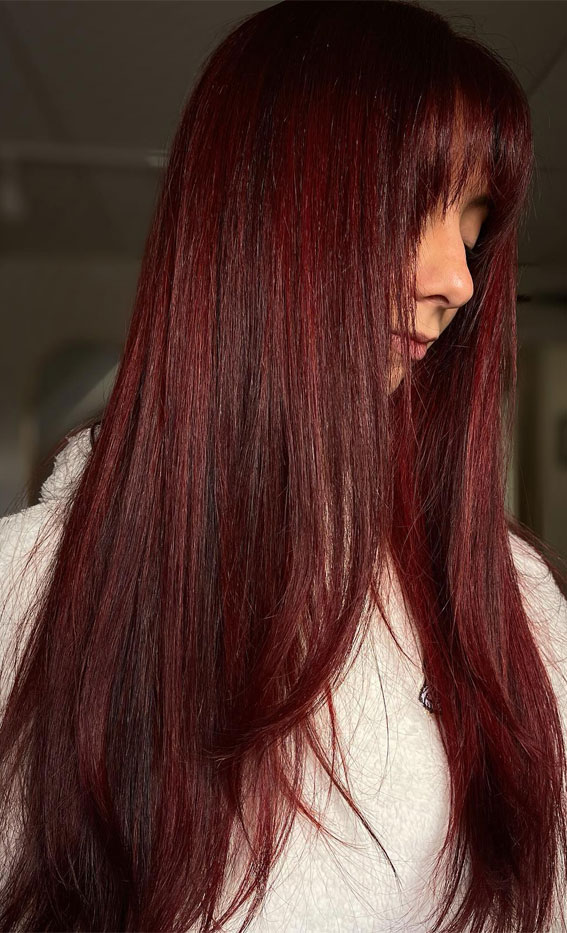 30 Deep, Warm, and Vibrant Hair Colours for Autumn : Velvety Burgundy Long Straight Hair