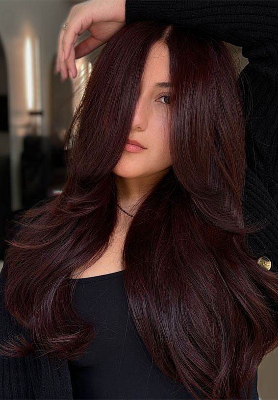 45 Winter Hair Colour Inspiration You Can’t Miss : Rich Plum Waves