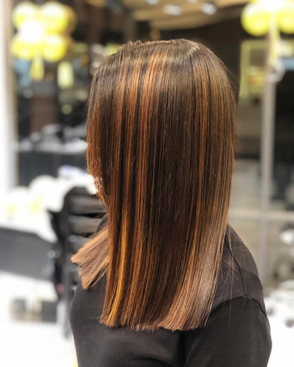 Copper Highlights on Sleek Straight Natural Brown Hair