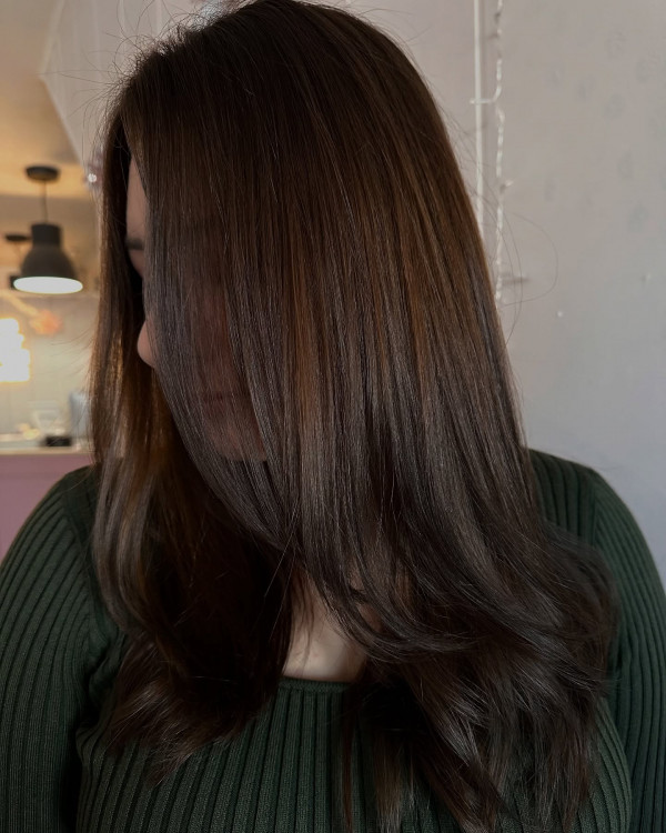 Subtle Mocha Brown Layers, Espresso Hair Colour, Dark Brown Hair Colour, Coffee Hair Colour, Espresso Brunette Hair Colour Ideas