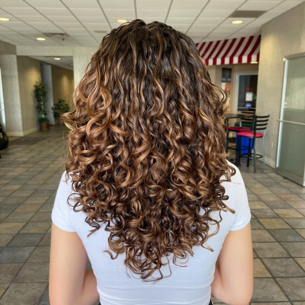 Golden Brown Highlights on Defined Curls, Hair Colour Highlights, Hair colour highlights for brown hair, Hair colour highlights and lowlights